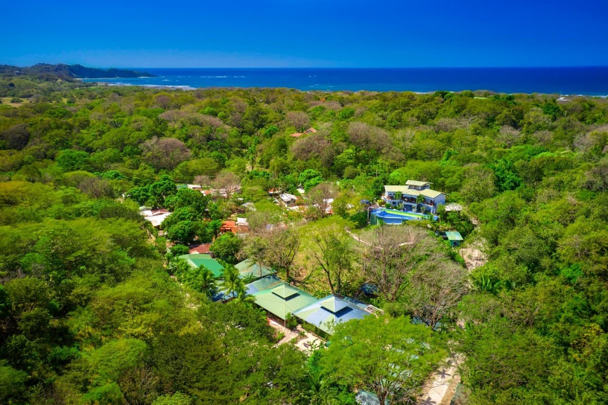 Jungle's Edge: Jiu-Jitsu, Muay Thai & Yoga Retreats