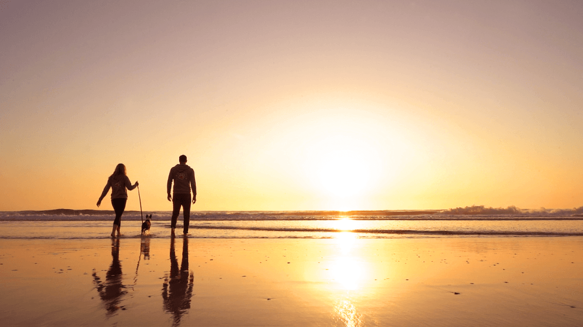 Pet Wellness Centre Burleigh Heads