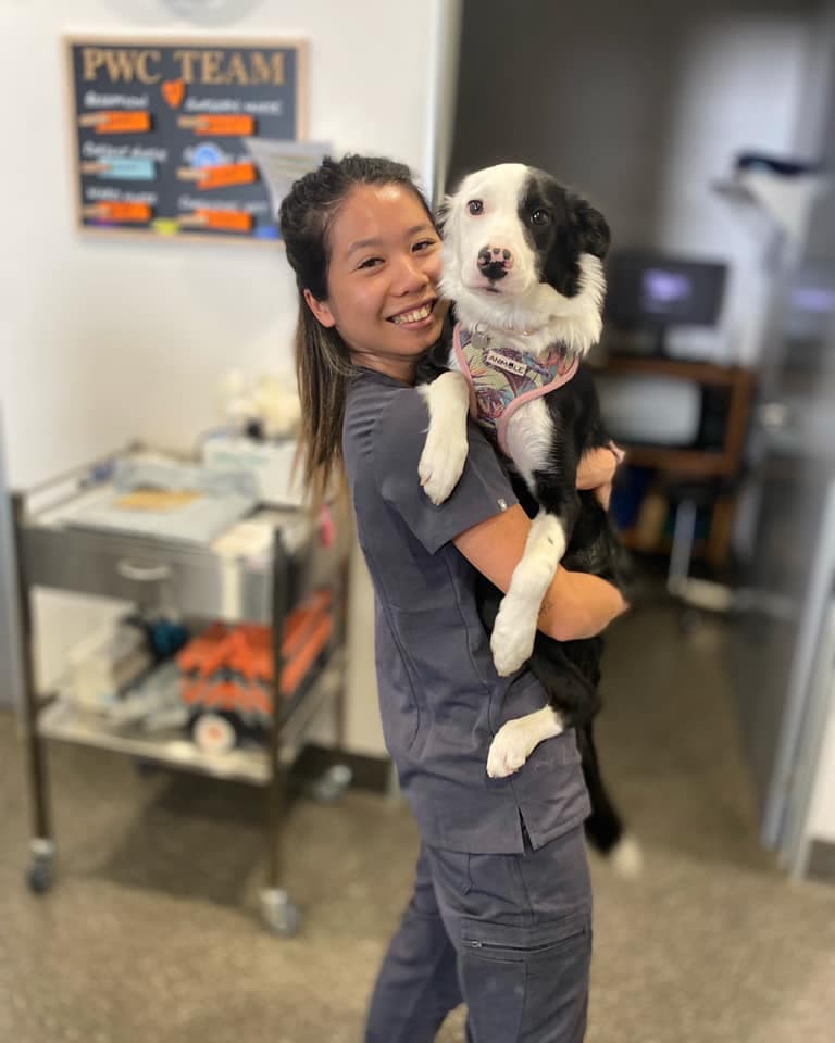 Pet Wellness Centre Burleigh Heads logo