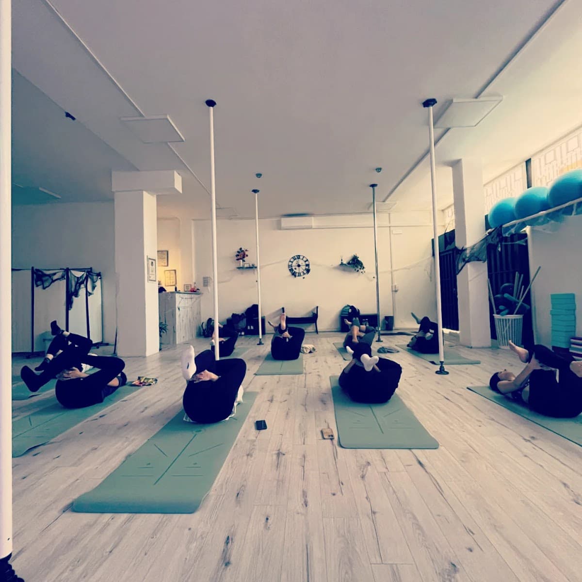 Aerial & Pole Arts School - Pilates, Yoga & Postural center