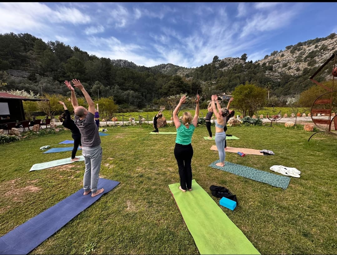 Natur Holistic Studio