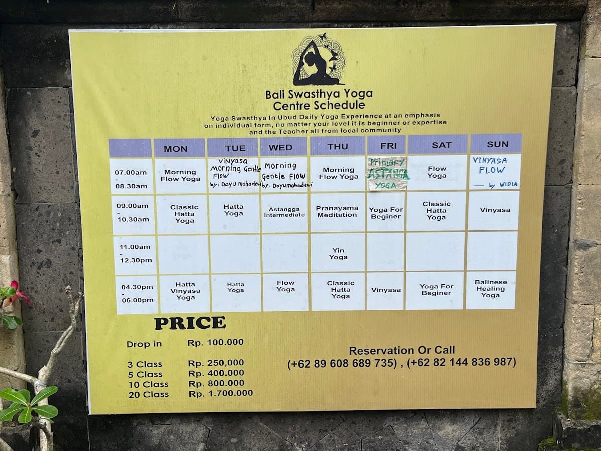 Bali Swasthya Yoga Centre logo