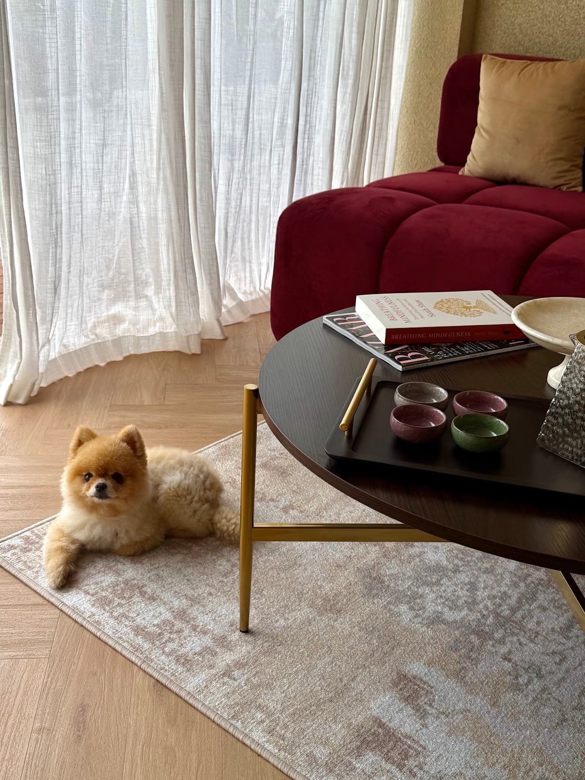 Plié - Pilates and Barre Studio