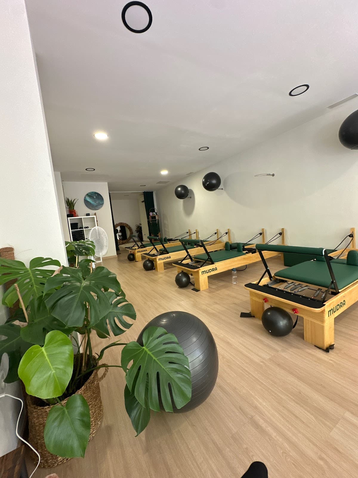 Mudra Pilates Reformer