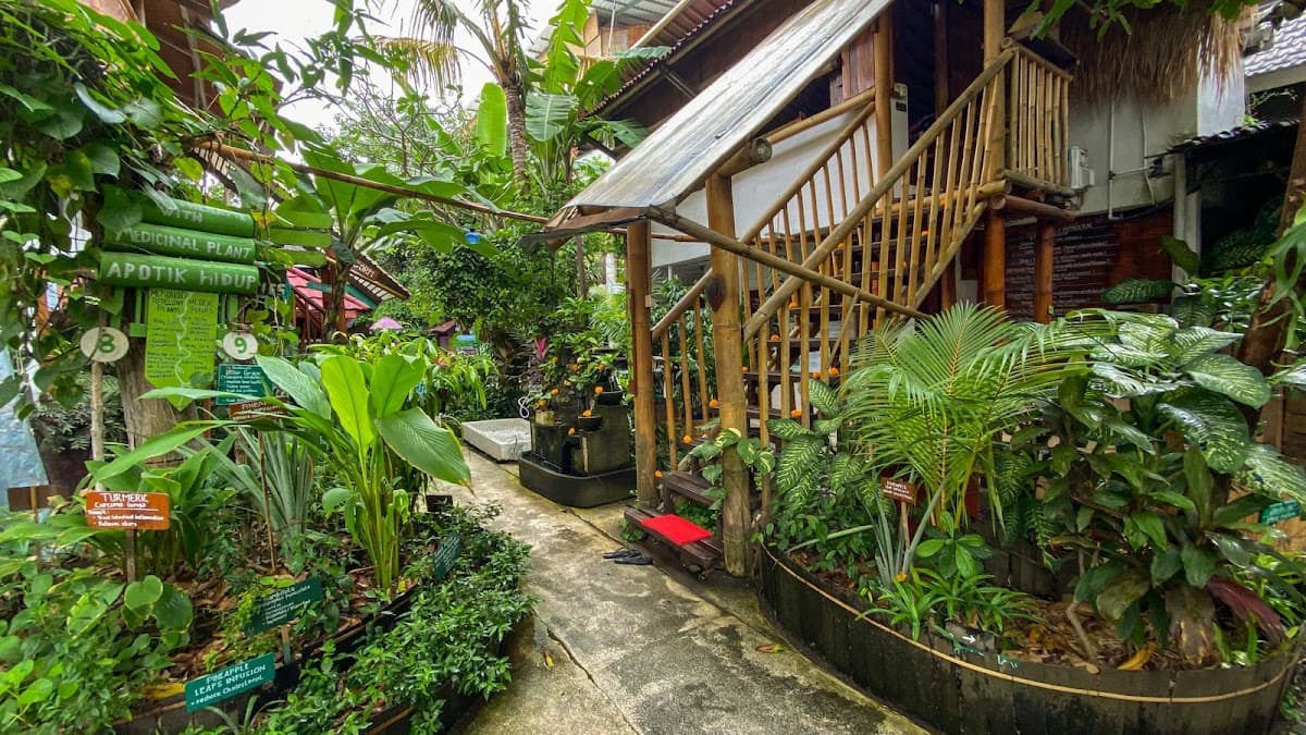 Serenity Eco Guesthouse and Yoga
