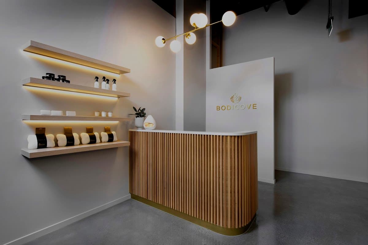 Bodicove Wellness & Recovery - Rochedale South logo