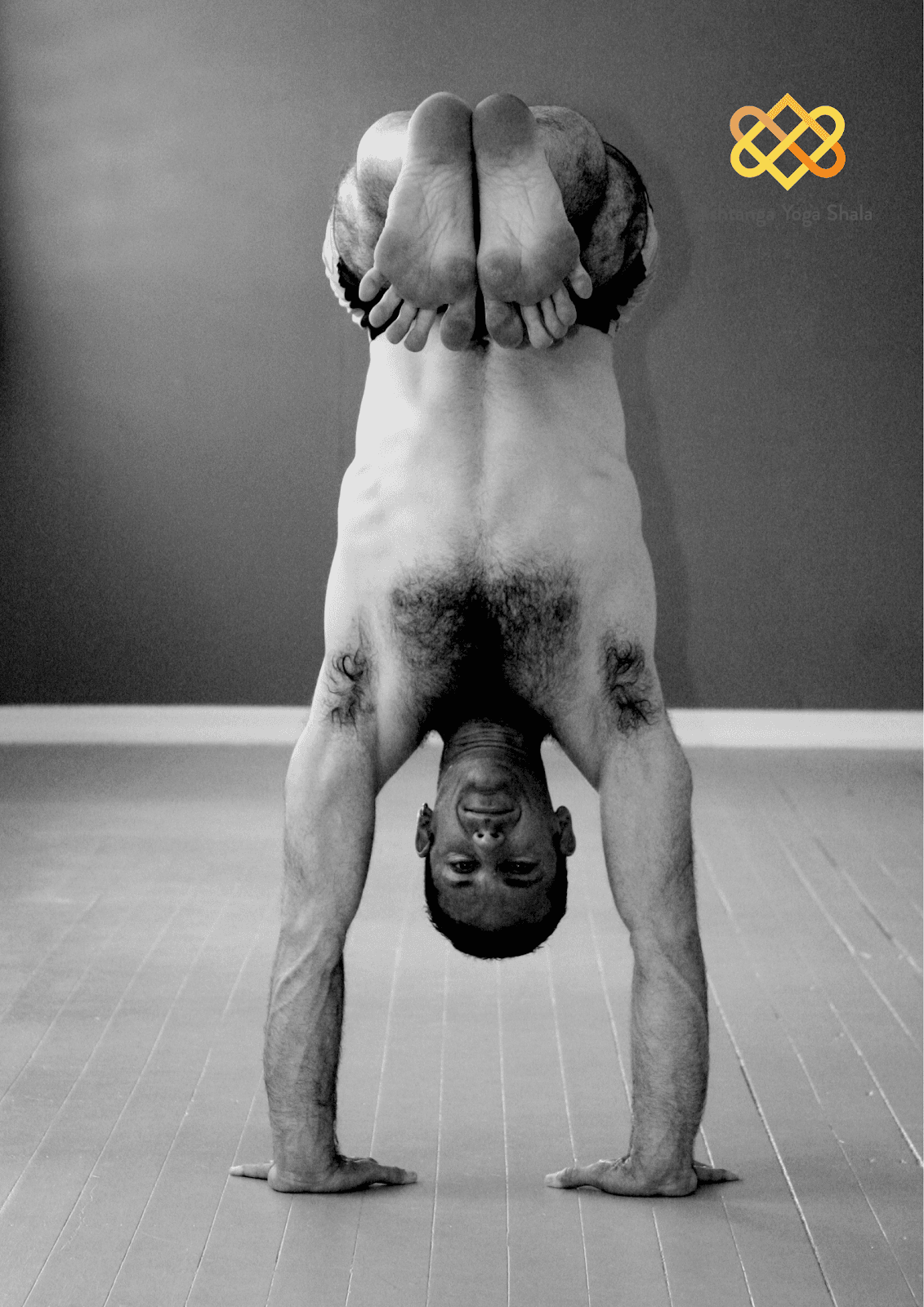 Ashtanga Yoga Shala Paddington Studio logo