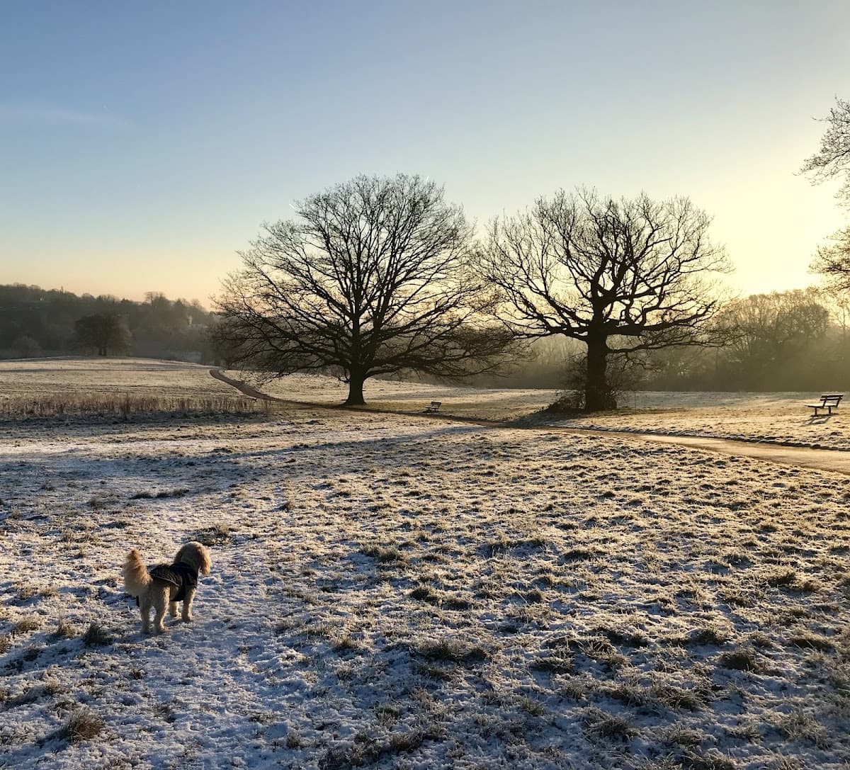 Yoga with Sandra (Pregnancy, Postnatal & General Yoga)