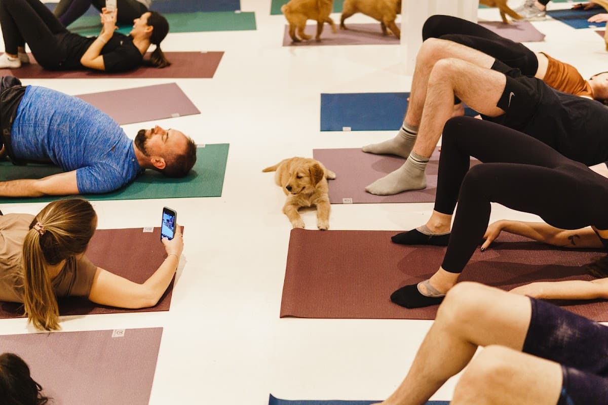 Pups Yoga logo
