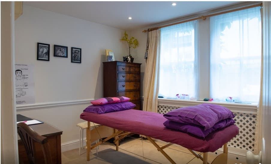 Holistic Training and Therapies