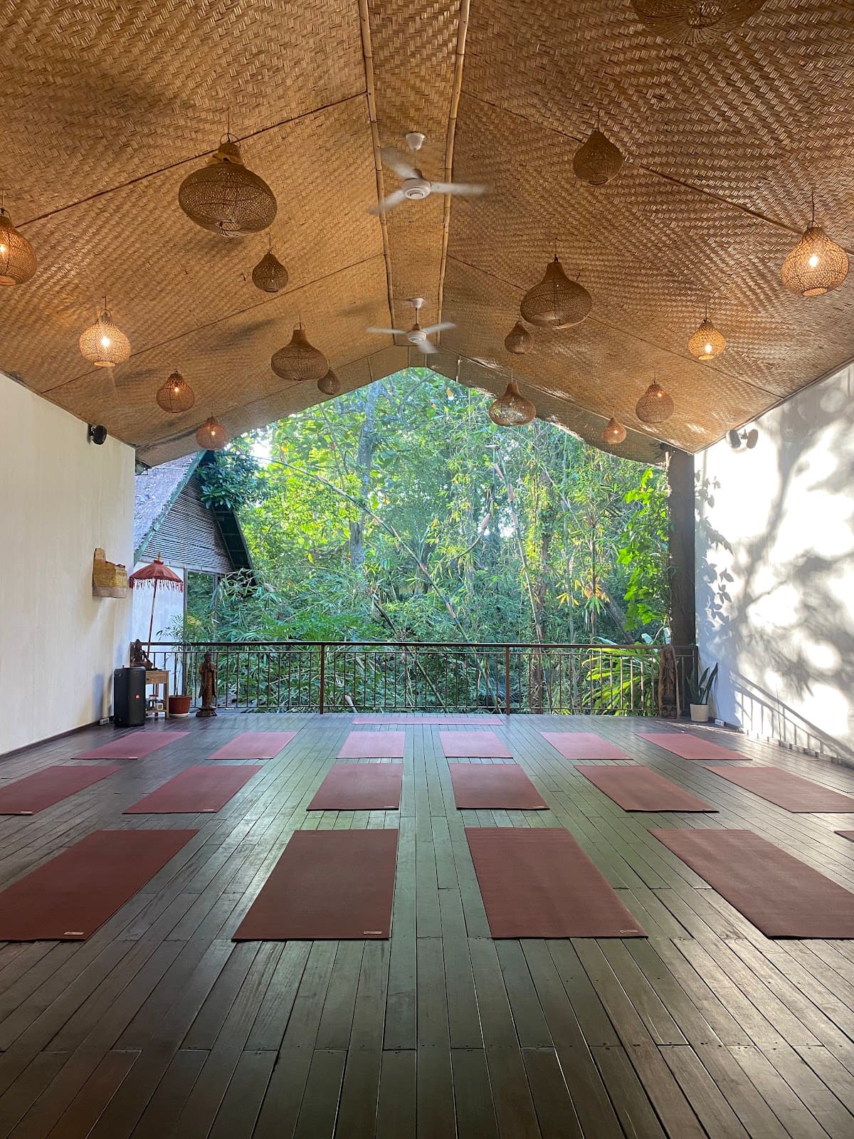 Radiantly Alive Yoga