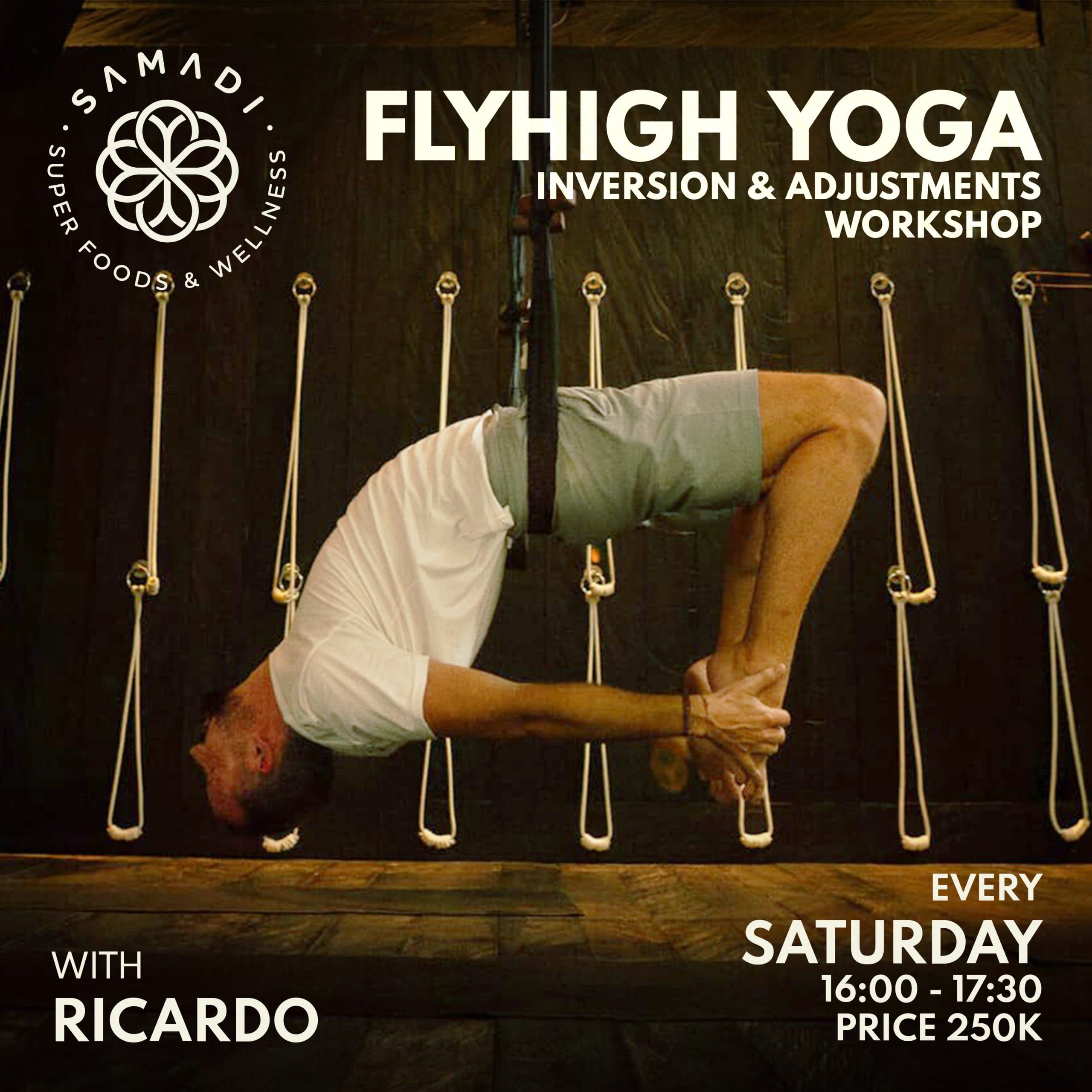 FLYHIGH YOGA INVERSION & ADJUSMENTS WORKSHOP