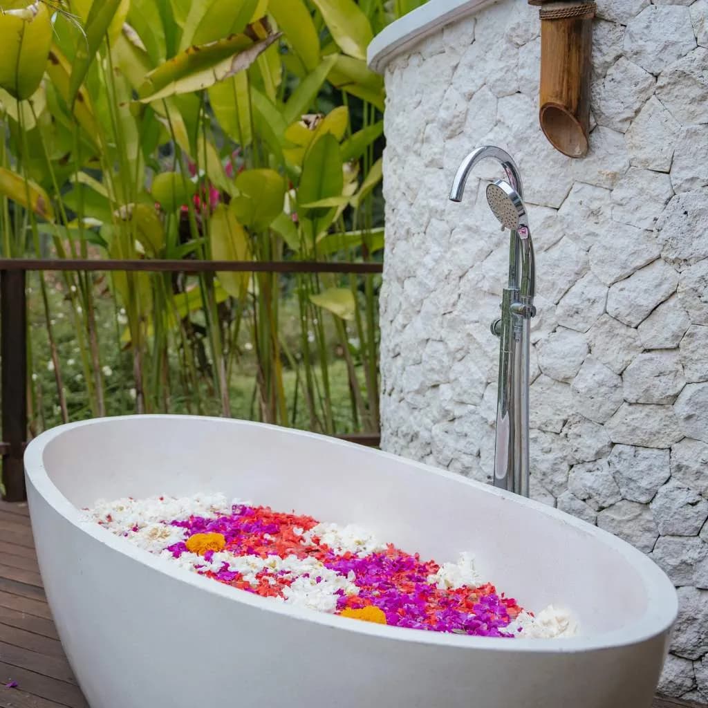 Energize & Revitalize Wellness Package