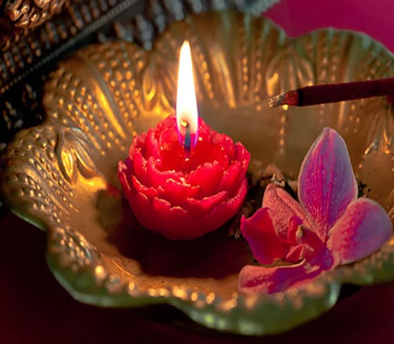 Meditation Programme