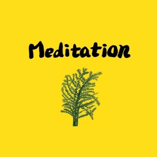 Best Meditation Course in Brisbane: 7 Step Goal-Orientated Discarding Meditation