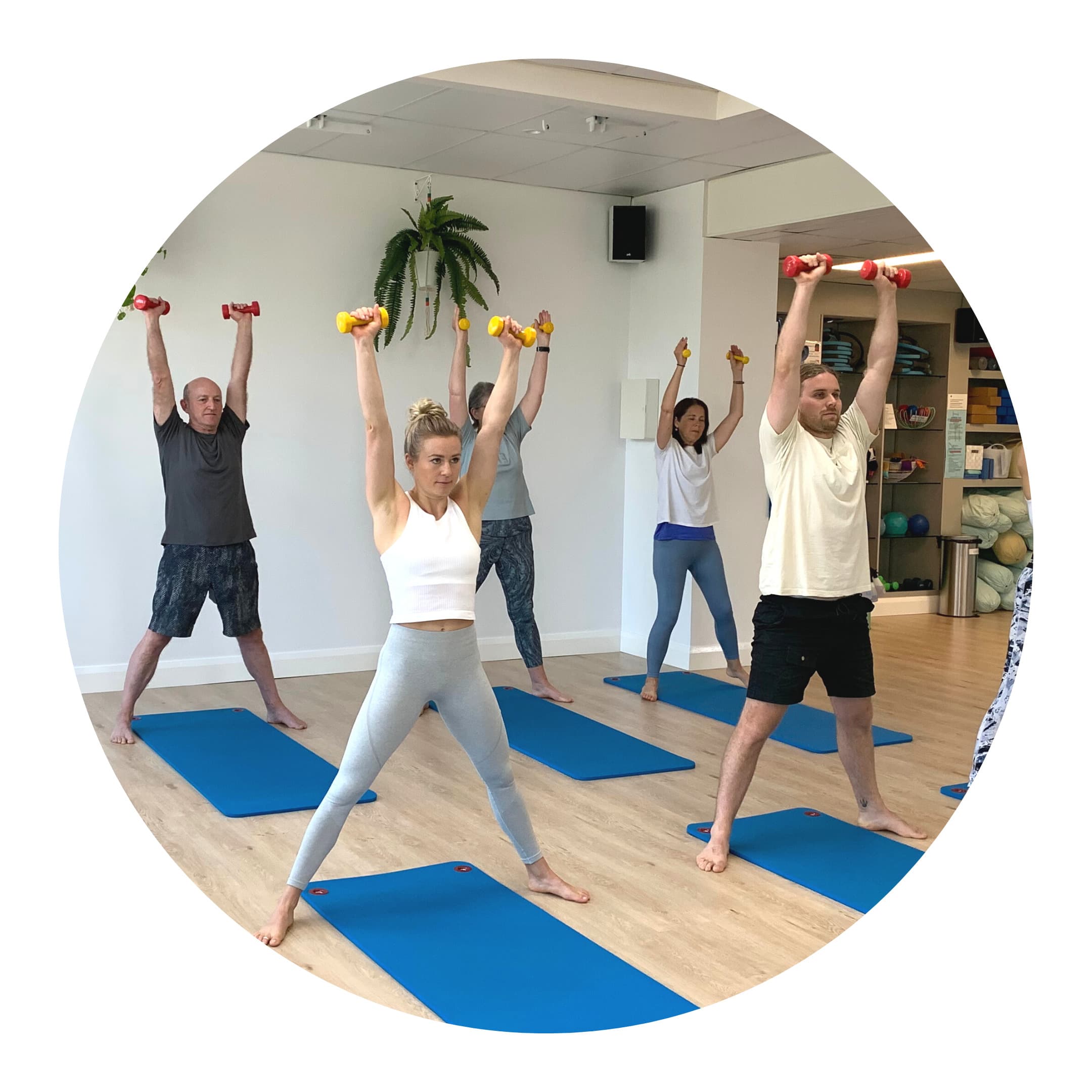 Transform Yoga Pilates Aerial - Regular Classes