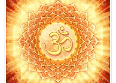 Free Introduction to Meditation & Lecture