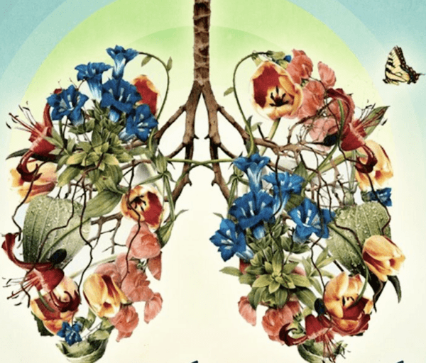 Liberated Breath — A 4-Week 1-on-1 Breathwork Coaching Program