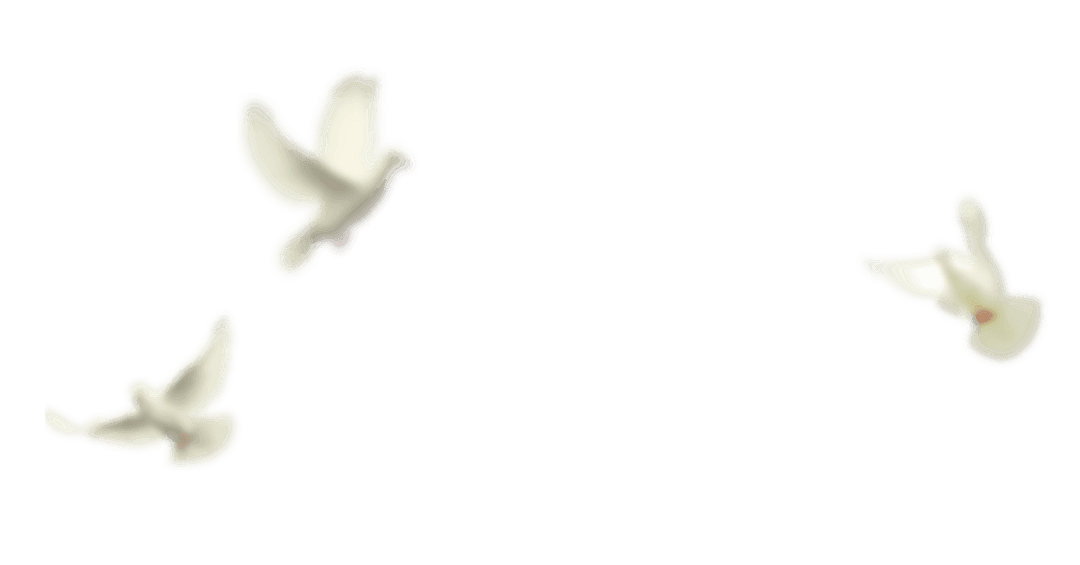 7-Day Beginner Meditation Retreat