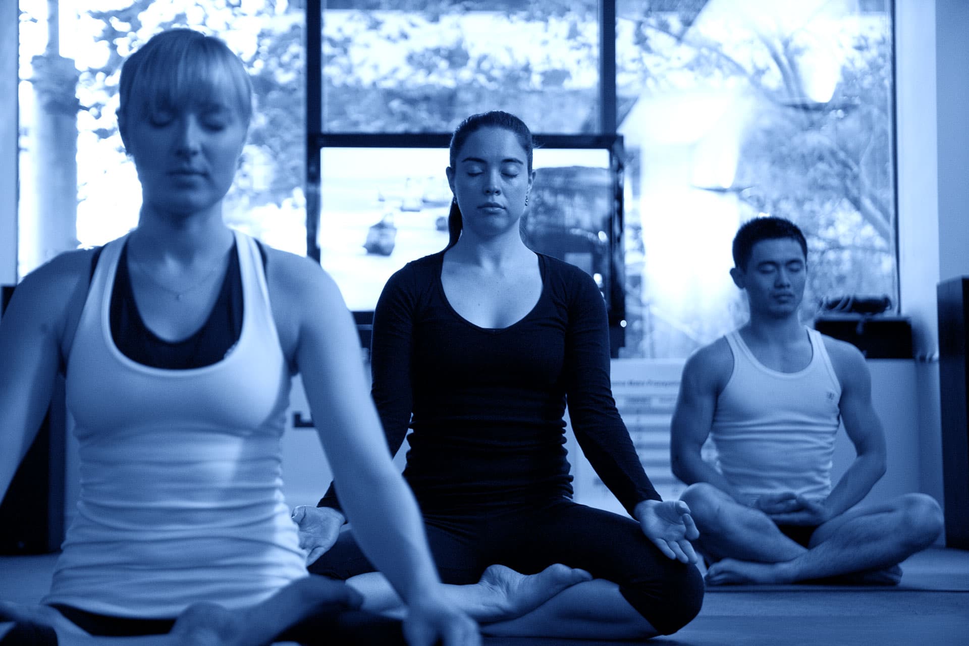 Basic Beginner Level Course