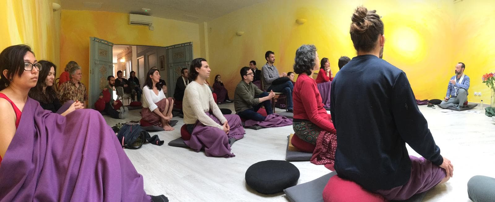 Mindfulemotion (MKBT®) - Mindfulness i les emocions positives