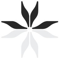 New York Meditation Center