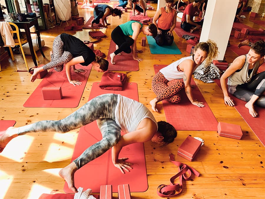 200+ Stunden Yogalehrer:innen-Ausbildung