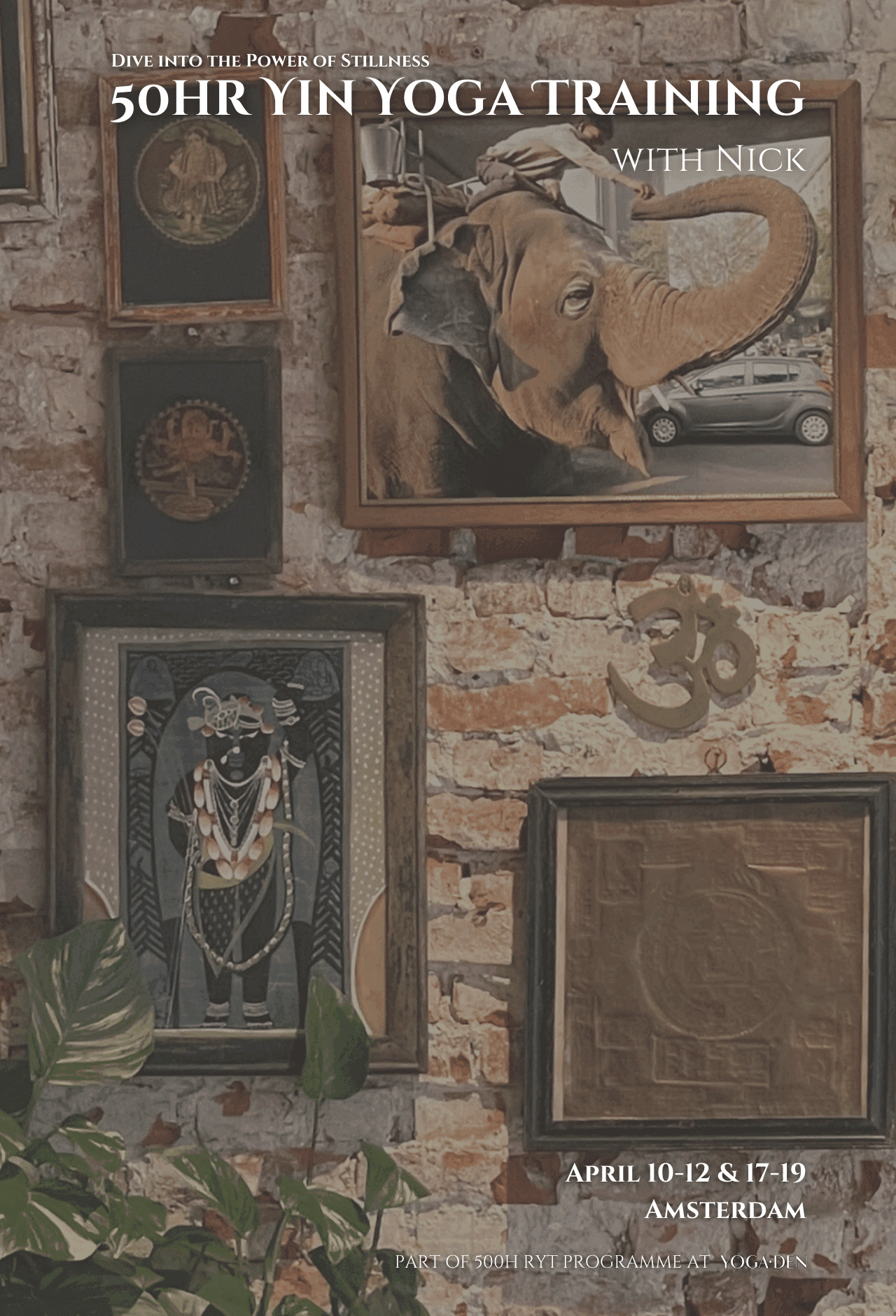 50h Yin Yoga Teacher Training