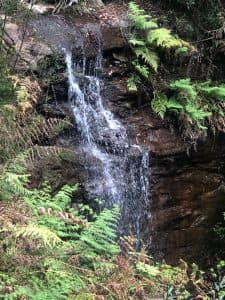 Wingello Retreat, Southern Highlands