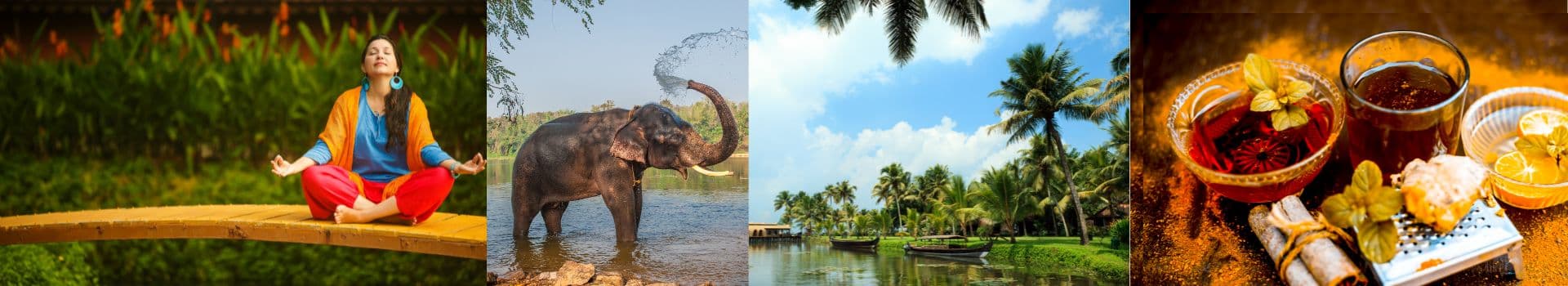 South India Yoga and Ayurveda Retreat 2026