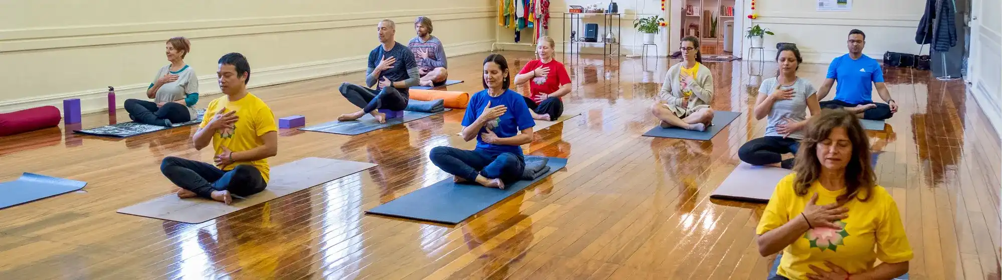 Yoga and Meditation Classes - in-person/live-stream