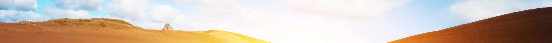 The Healing Power of Music and Chant - Yoga Workshop