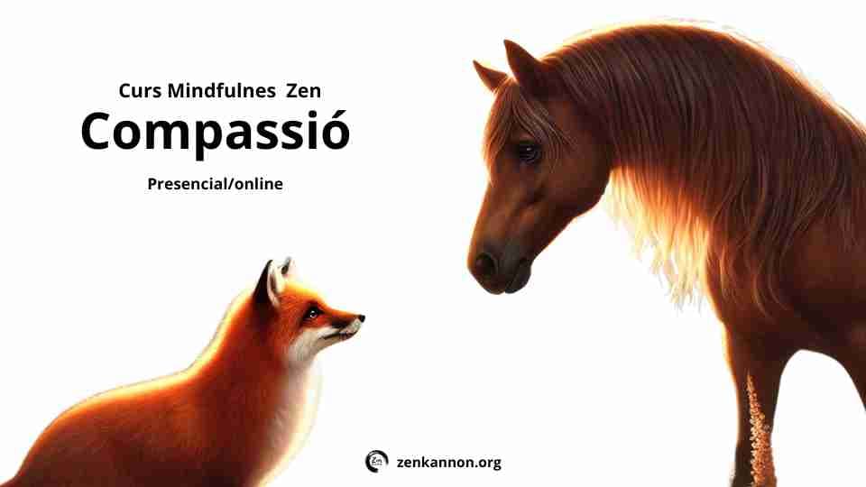 Curs Mindfulness Zen de la Compassió