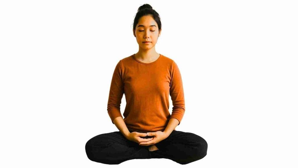 Introducció gratuïta a la meditació zen