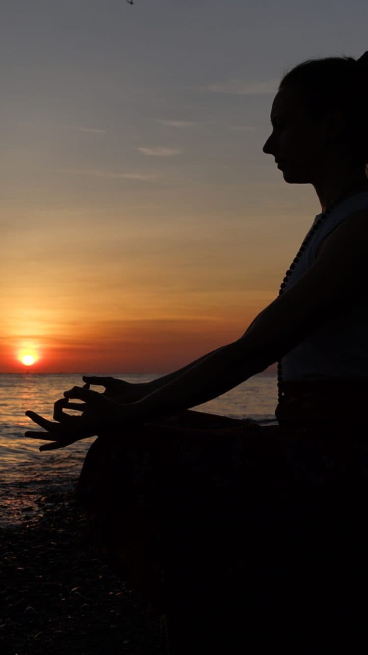 Australian School of Meditation & Yoga Darwin logo