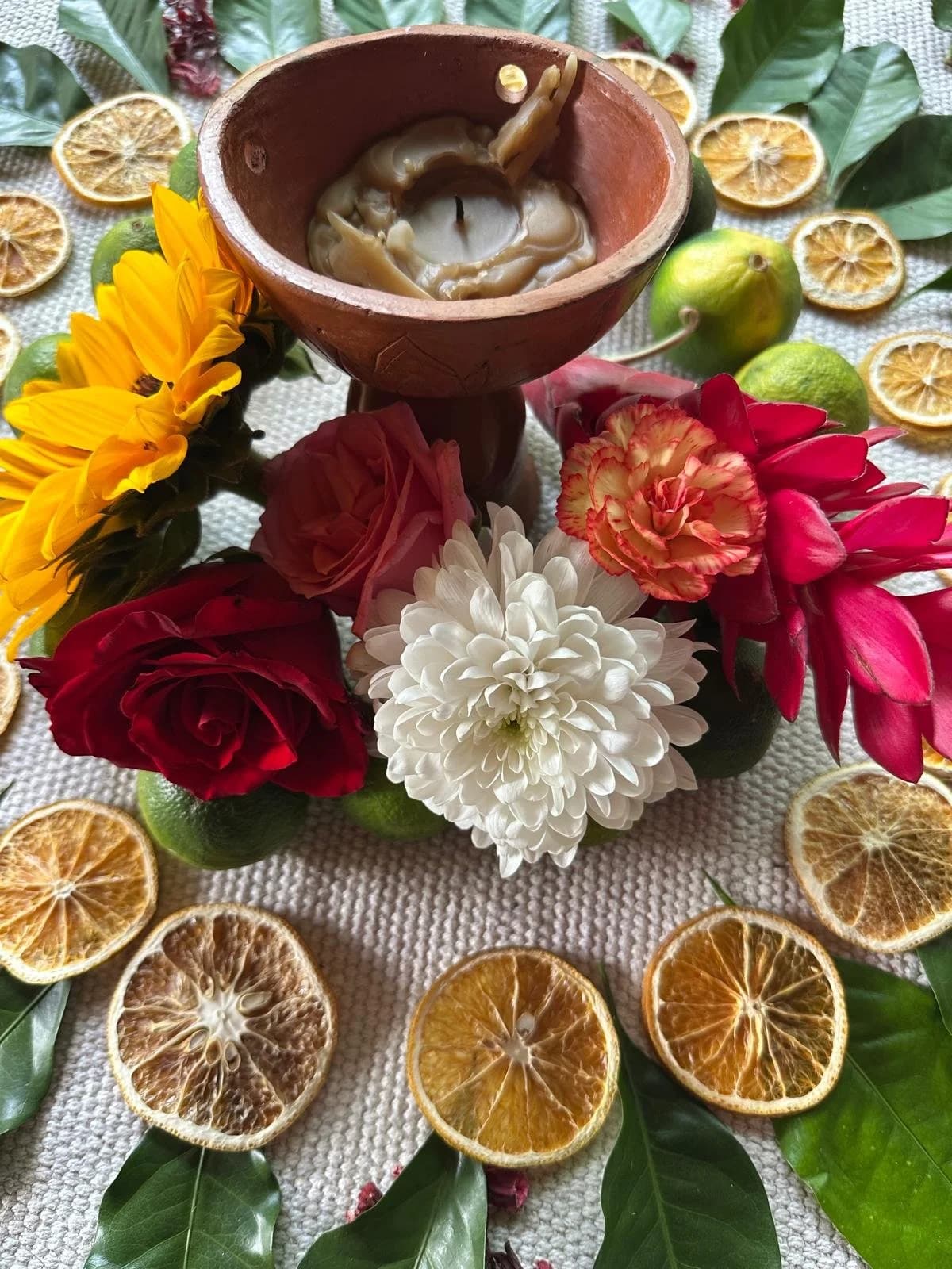 Plant Medicine Ceremony - 1:1 Journey 1