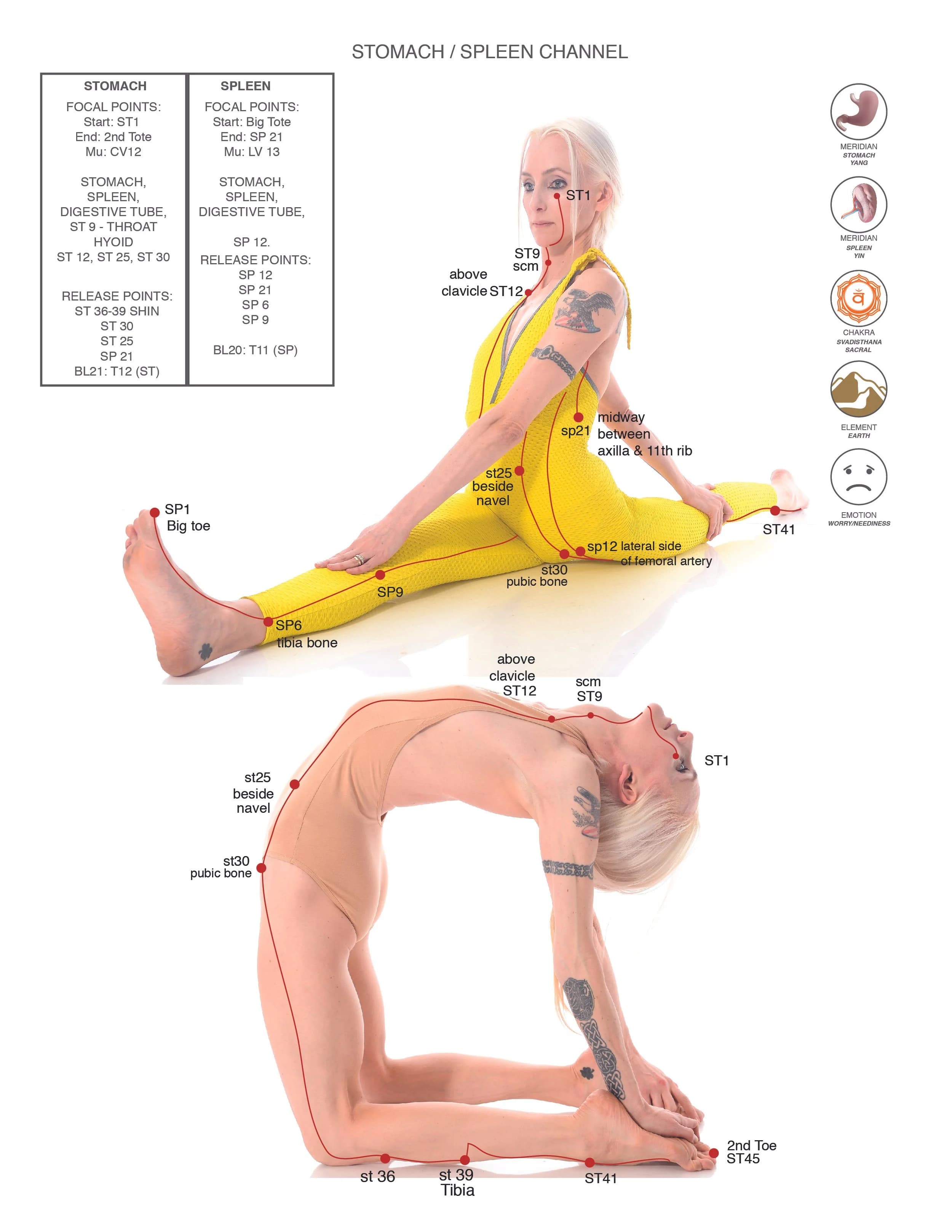 50H CET - MERIDIAN YOGA: USING ACUPOINTS IN ASANA