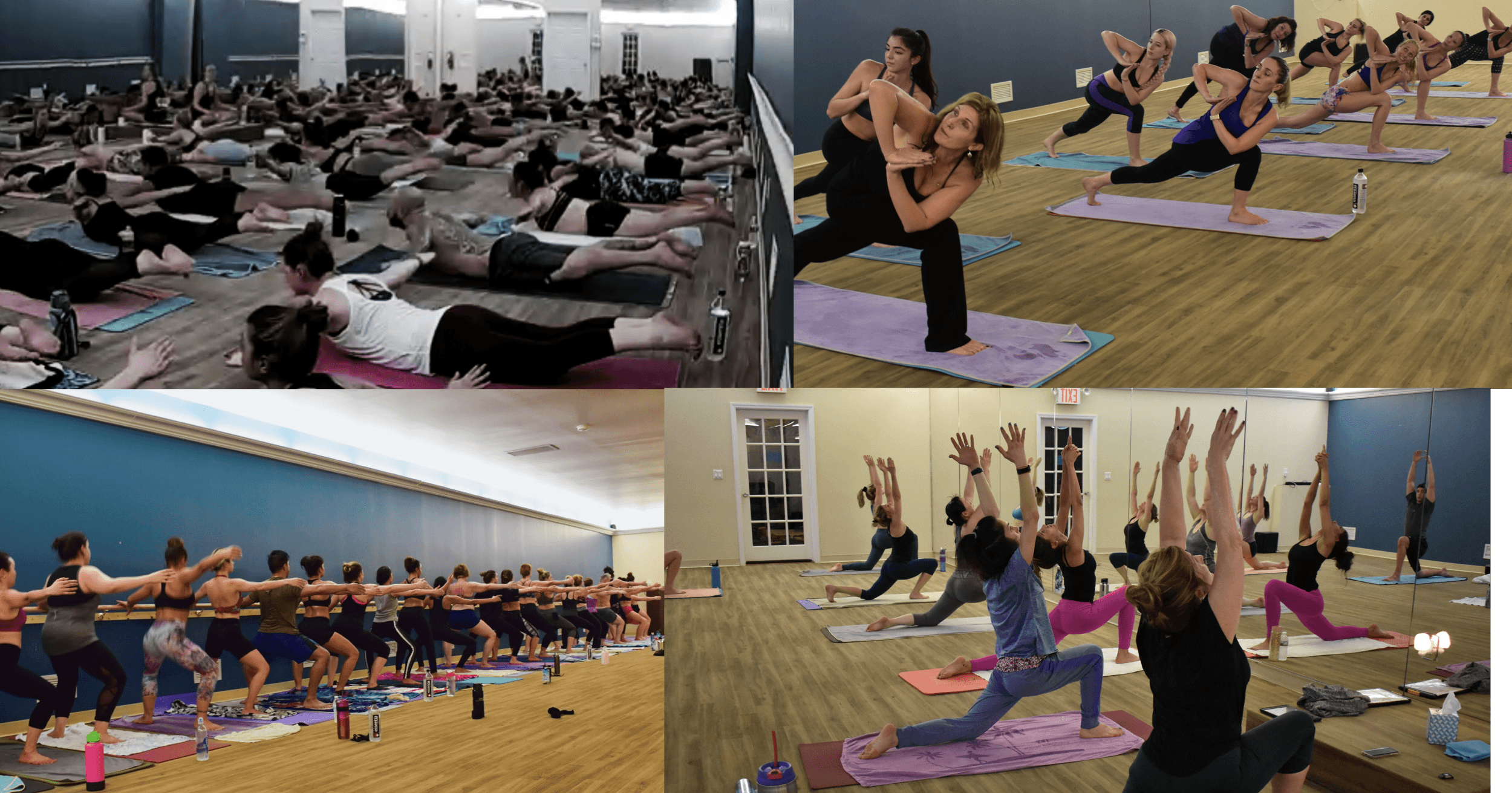 Some Like It Hot Yoga& Wellness logo