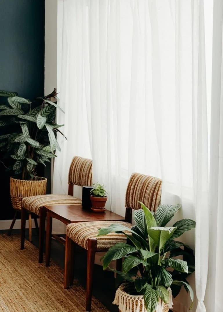 Willow Massage & Wellness logo