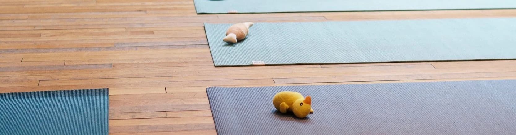 Pups Yoga London - Old Street 1