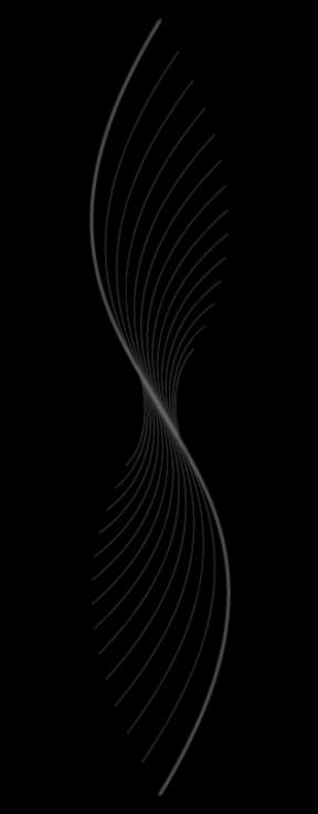 Silver Spring Wellness logo