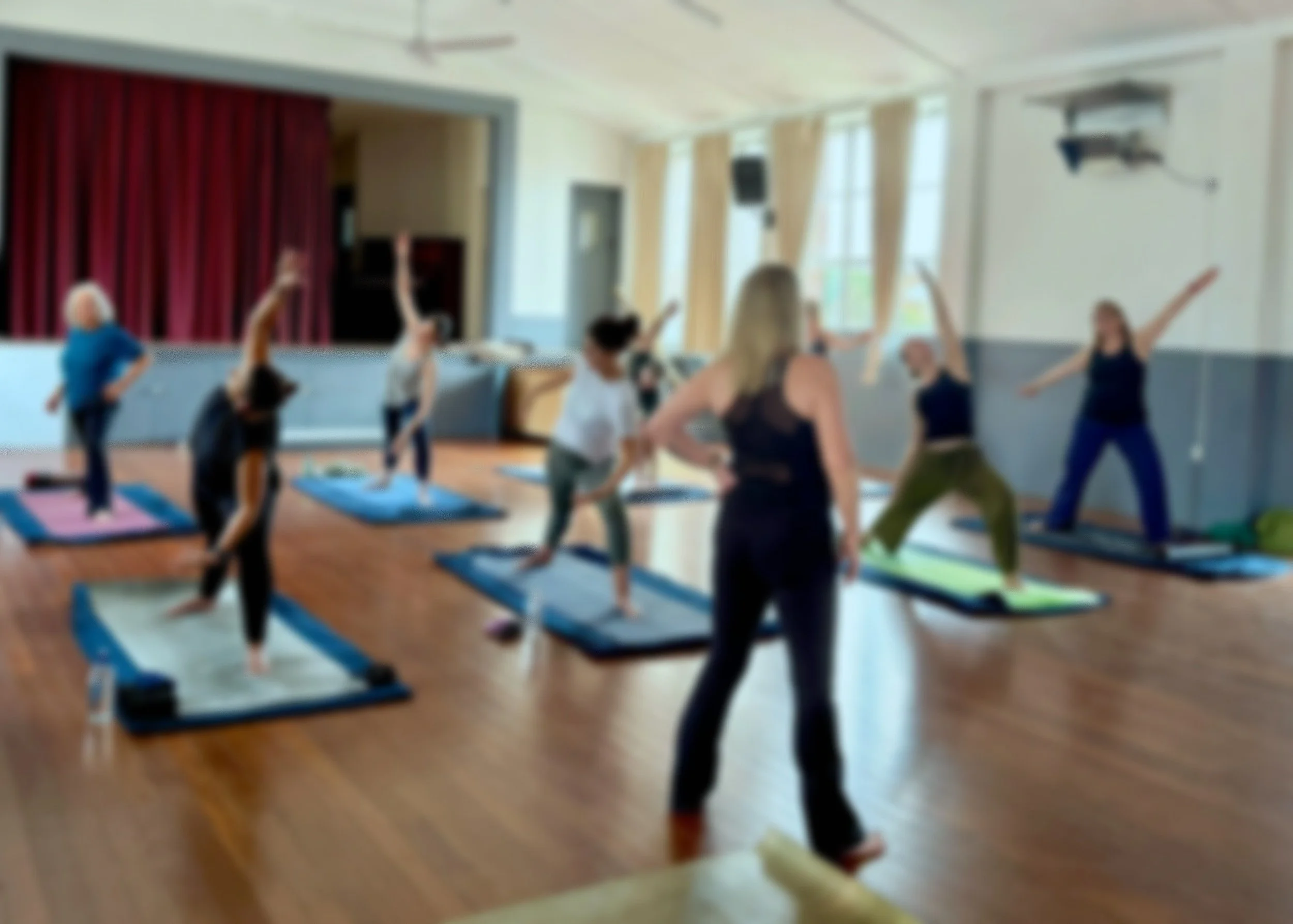 200+ hr Masters Meridian Yoga Teacher Training