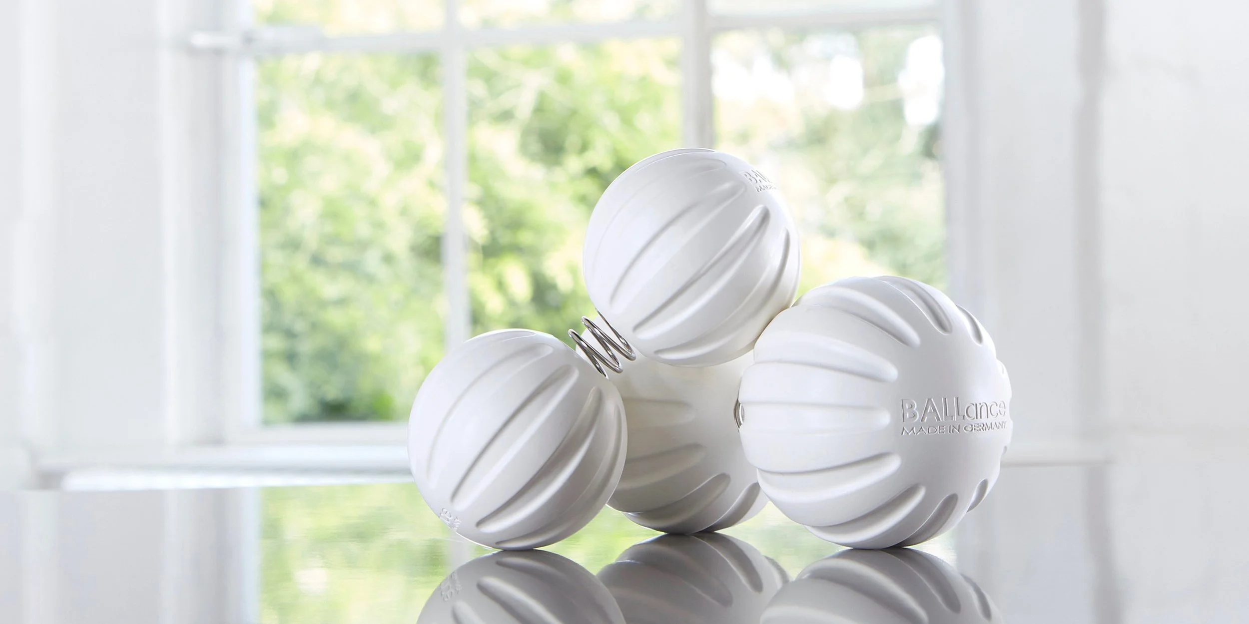 BALLance® USA Teacher Training for Instructors 1