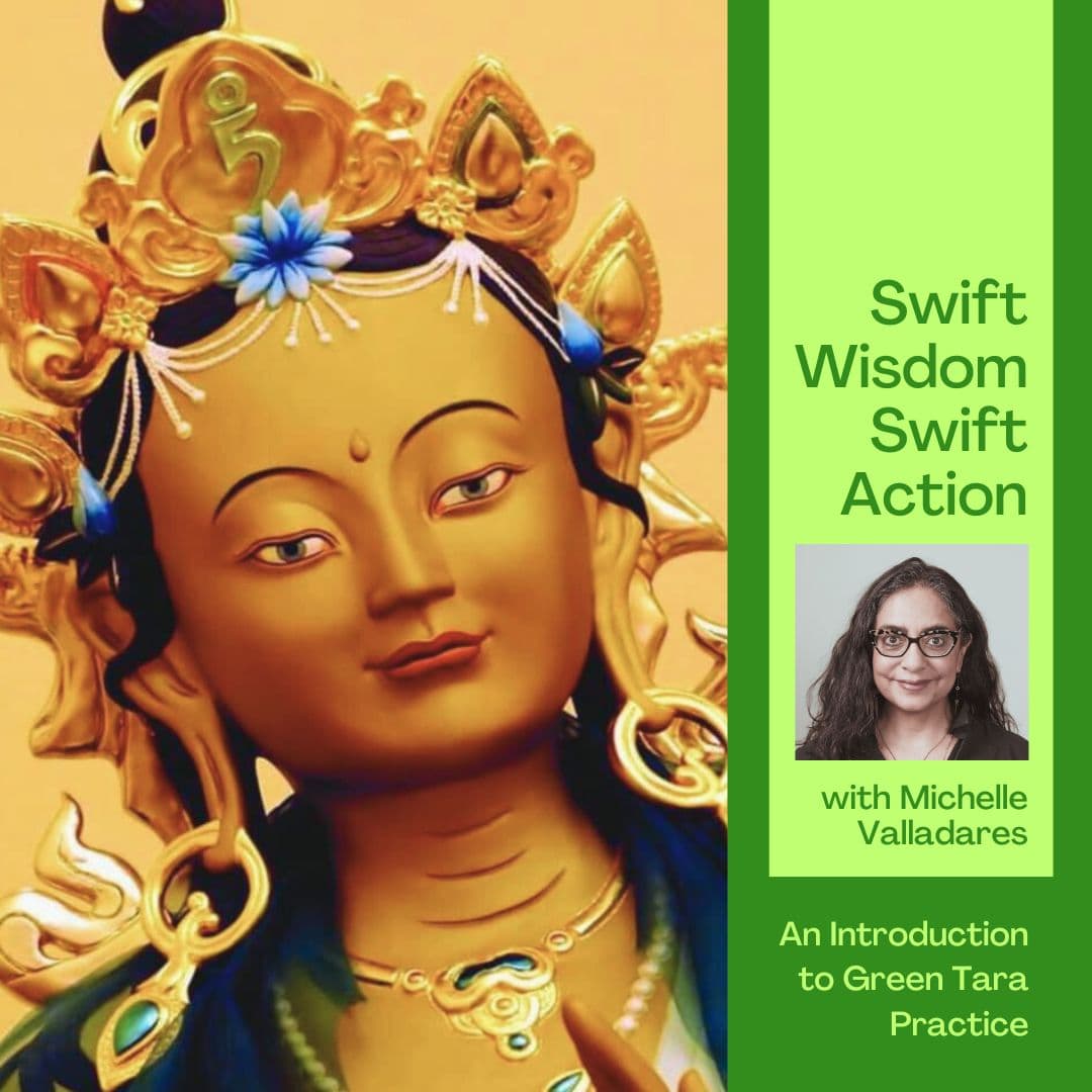 Swift Wisdom, Swift Action 1