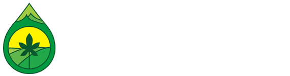 Yoga & Meditation Studio Pelaga logo