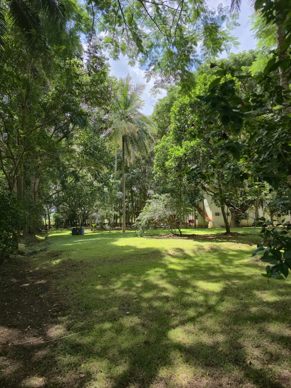 Osho Sannidhi, Mysore- Meditation Center( OAIF)