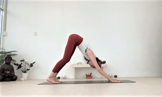 YOGA BAYSIDE BRISBANE logo