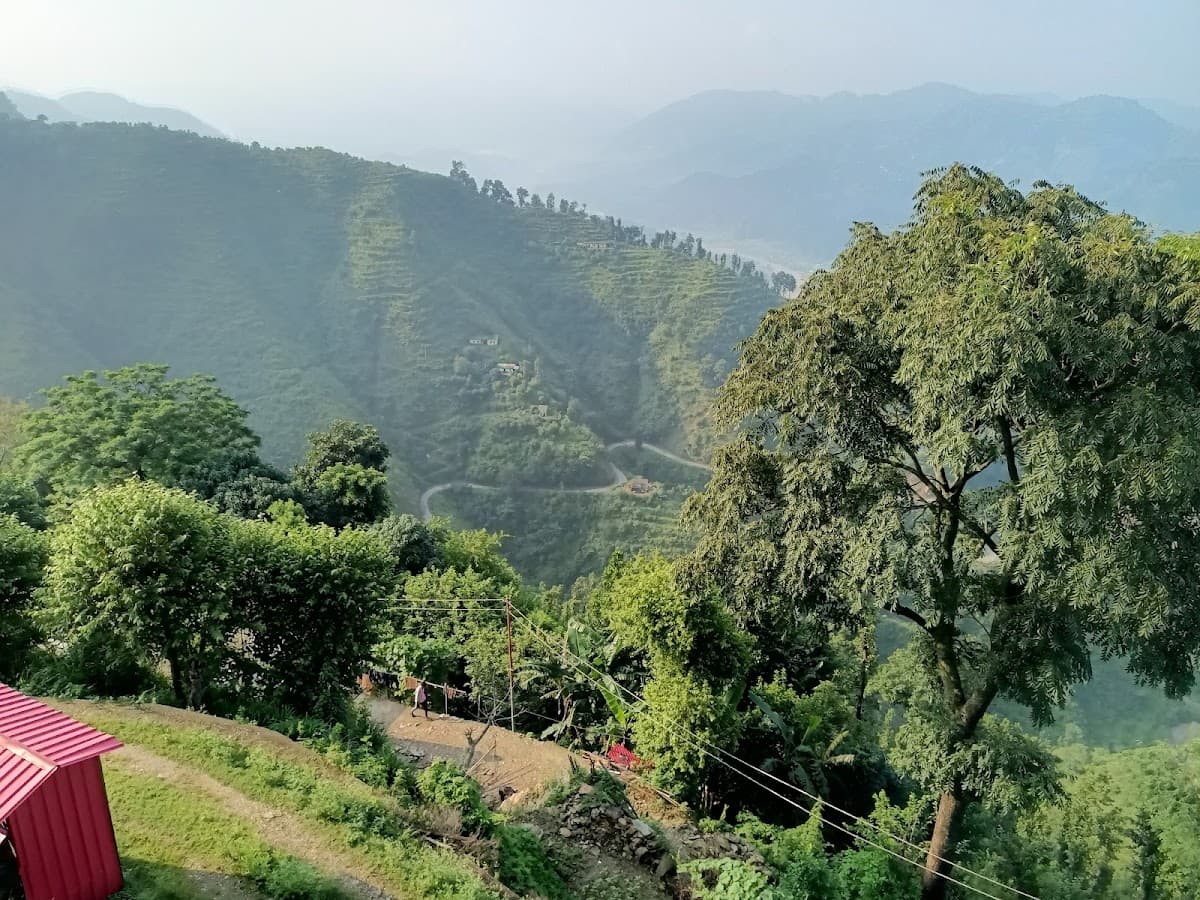 Patanjali Wellness Vedalife