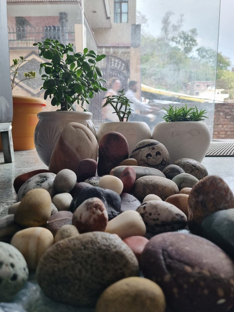 Ayush Arogya Ayurveda Wellness