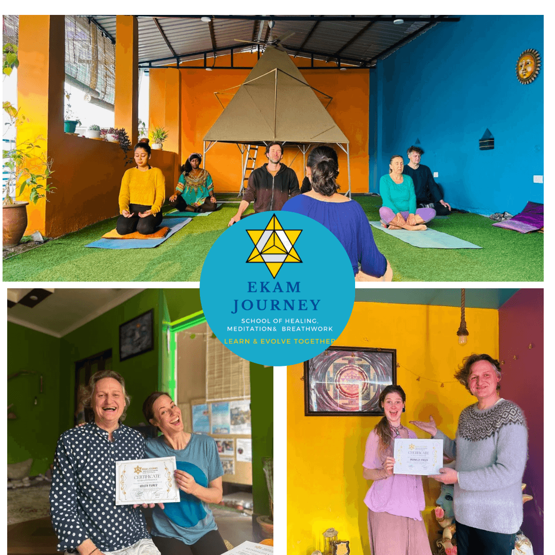 Holistic Healing Sanctuary logo